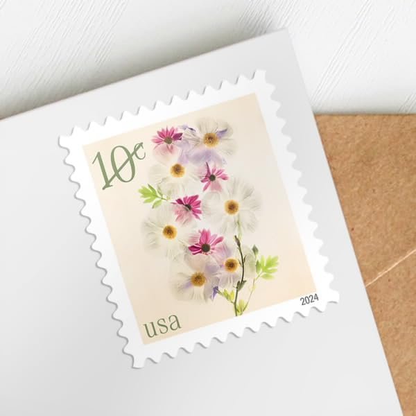 Poppies and Coneflowers 2024 10-Cent (Sheet of 20) Ten-Cent Denominated Mail-use Additional Postage Stamps