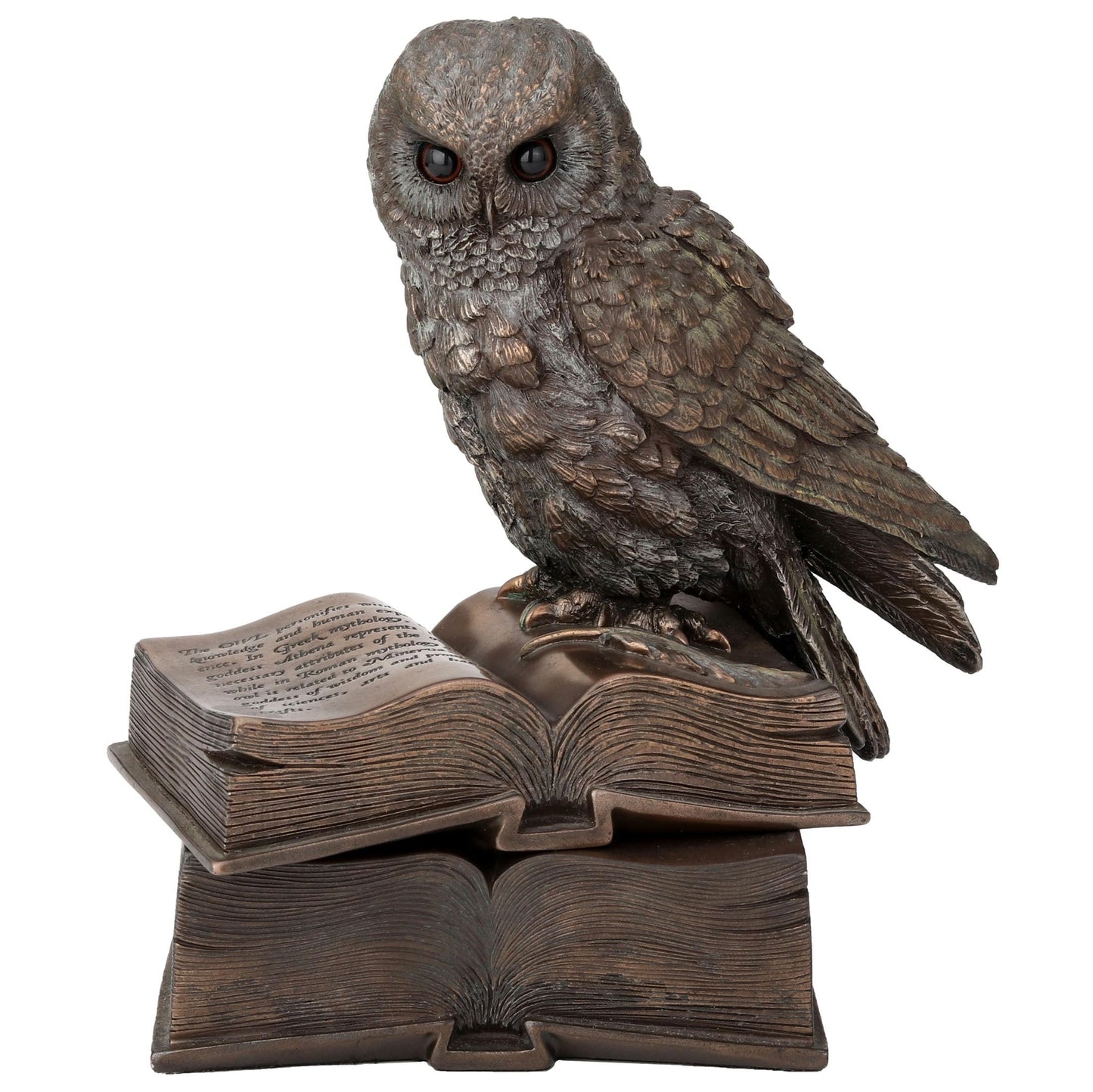 Veronese Design 7 1/8 Inch Owl Perched On Top of Books Cold Cast Resin Bronze Finish Trinket Stash Box