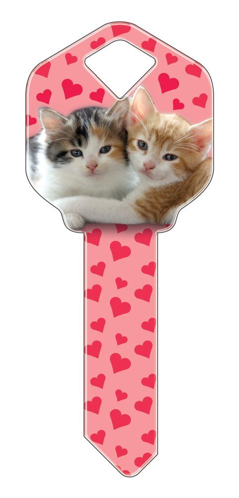 Set of 5 Uncut Blank Designer SC29 Kittens Replacement House Keys for SC1 Schlage Style Locks