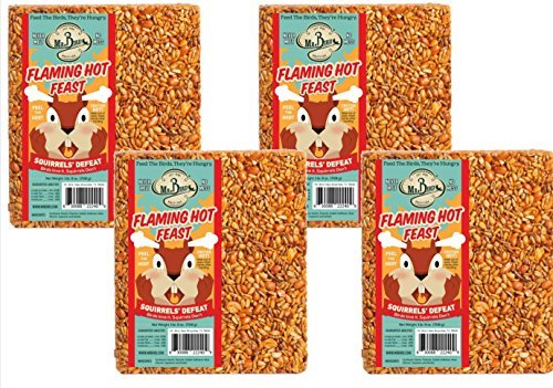 Mr. Bird Flaming Hot Feast Large Wild Bird Seed Block 1 lb. 9 oz.