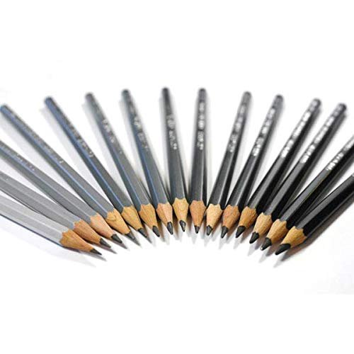 Caran D'ache Grafwood Graphite Pencil - 9B
