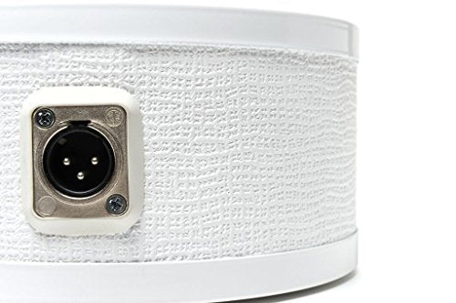 Solomon Mics Lofreq Sub Mic Microphone