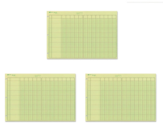 National Analysis Pad, 13 Columns, Green Paper, 11 x 16.375", 50 Sheets, Sold as 3 Pack (45613)