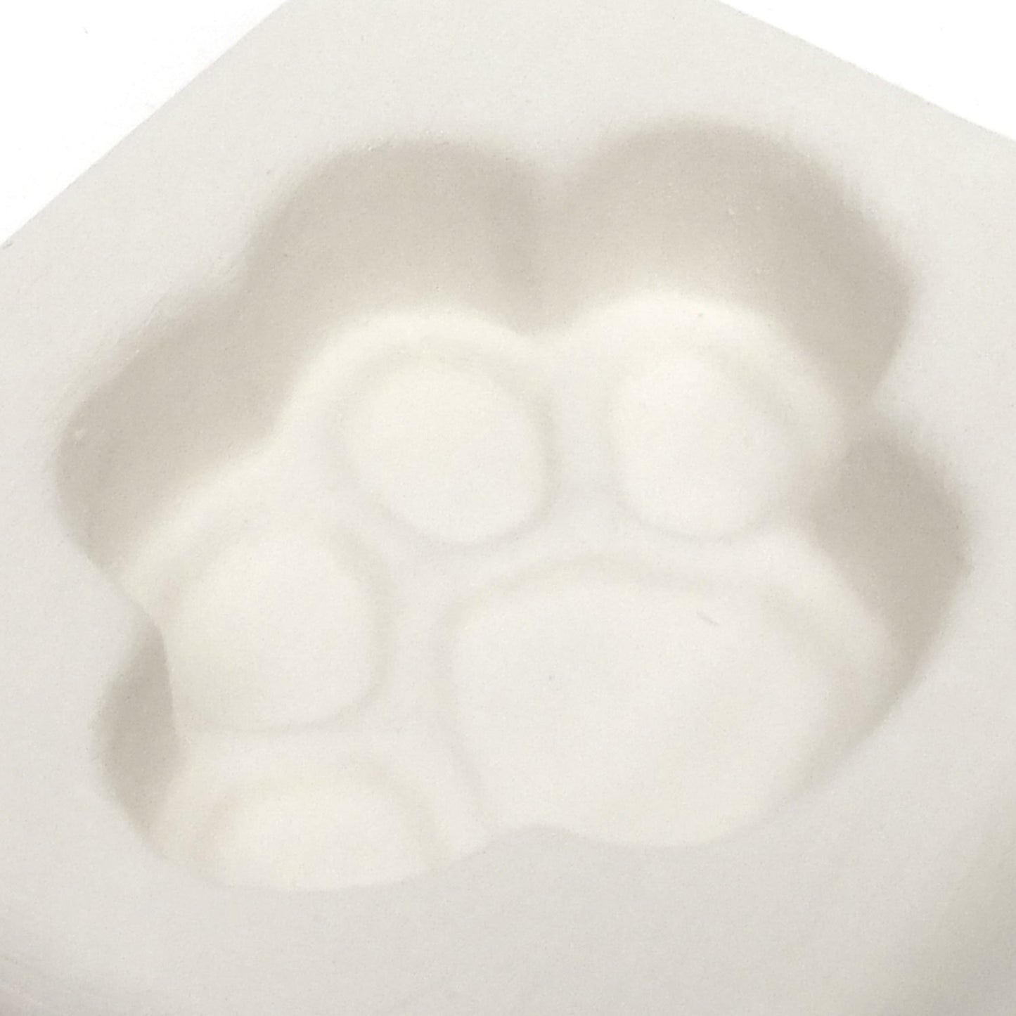 Paw Print Casting Mold