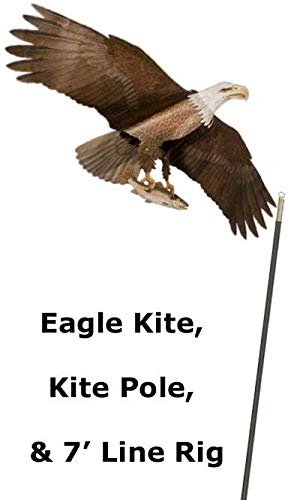 Bald Eagle Kite & Green Fiberglass Telescoping Pole Kit