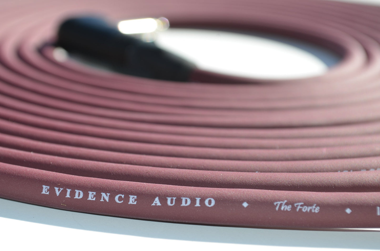Evidence Audio The Forte 10 Foot Instrument Cable Right to Straight