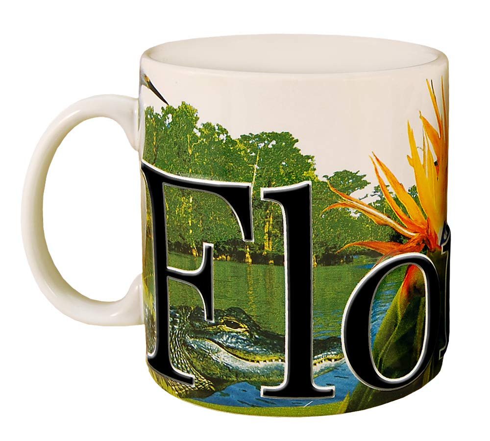 Americaware Florida 18 oz Color Relief Coffee Mug
