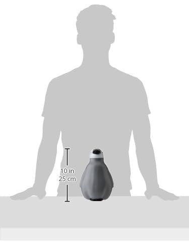 Fallen Fruits TG259 Watering Can Penguin, Black