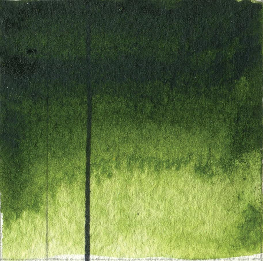 QoR Artist Watercolors by GOLDEN