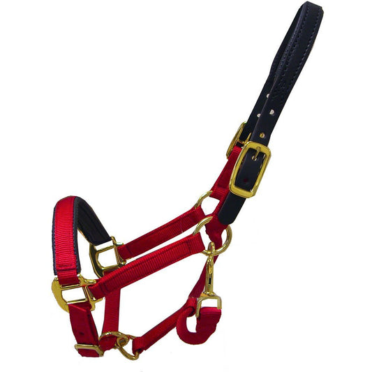 Intrepid International Horse Halter - Breakaway Halters for Horses with Padded Leather Crown, Chafeless, Padded Noseband, Large Size, Sturdy Nylon - Adjustable Breakaway Horse Halter, Purple
