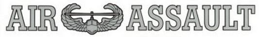 AIR Assault 15" inch Window Strip Army Outside Decal