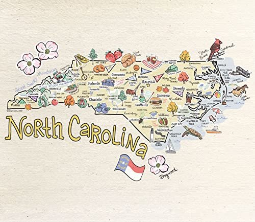 Wet-It! Swedish Dishcloth States – Reusable Paper Towels, Highly Absorbent & Biodegradable Dish Cloths, Non-Scratch, Durable, Machine Washable Cleaning Towels