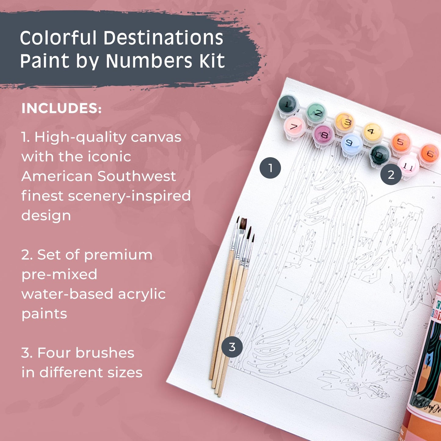 Pink Picasso Mid Century Modern Paint by Numbers Kits, 8x10…