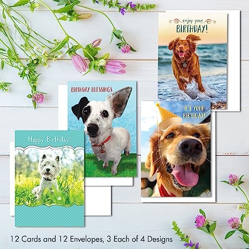 Designer Greetings Faithfully Yours Boxed Everyday Assortment Cards