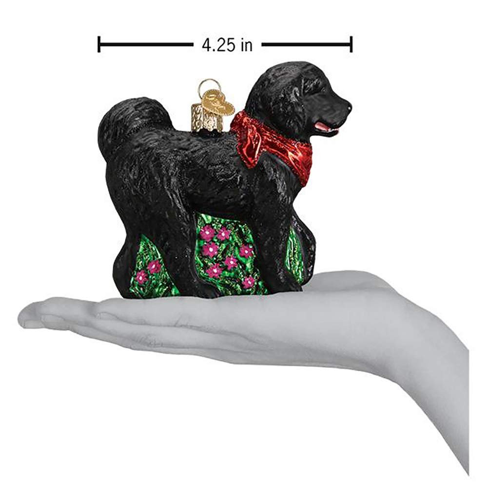 Old World Christmas Bird Watcher Collection Glass Blown Ornaments for Christmas Tree