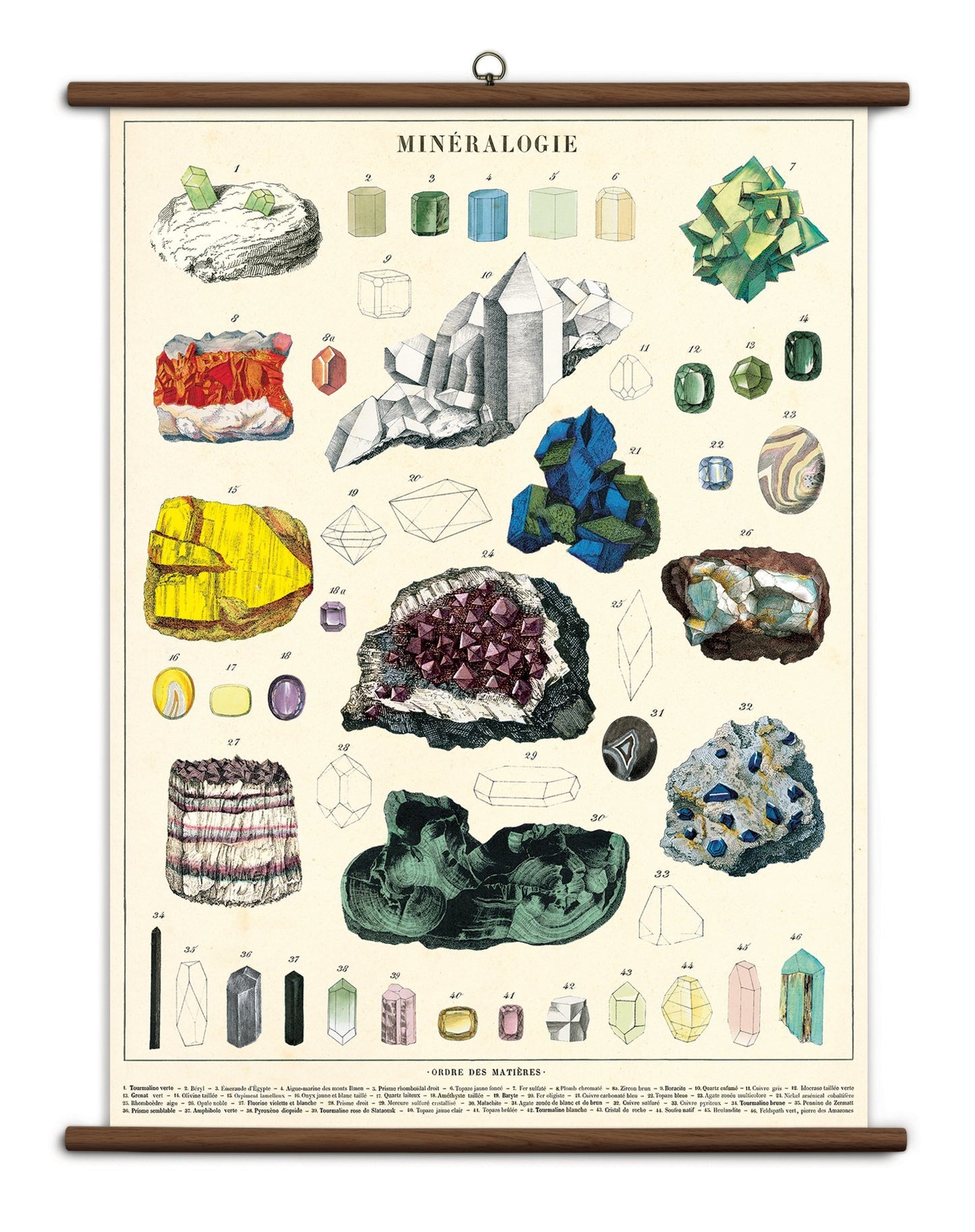 Cavallini Papers Cavallini Minerology Vintage School Chart