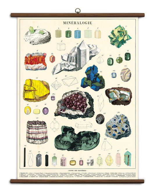 Cavallini Papers Cavallini Minerology Vintage School Chart