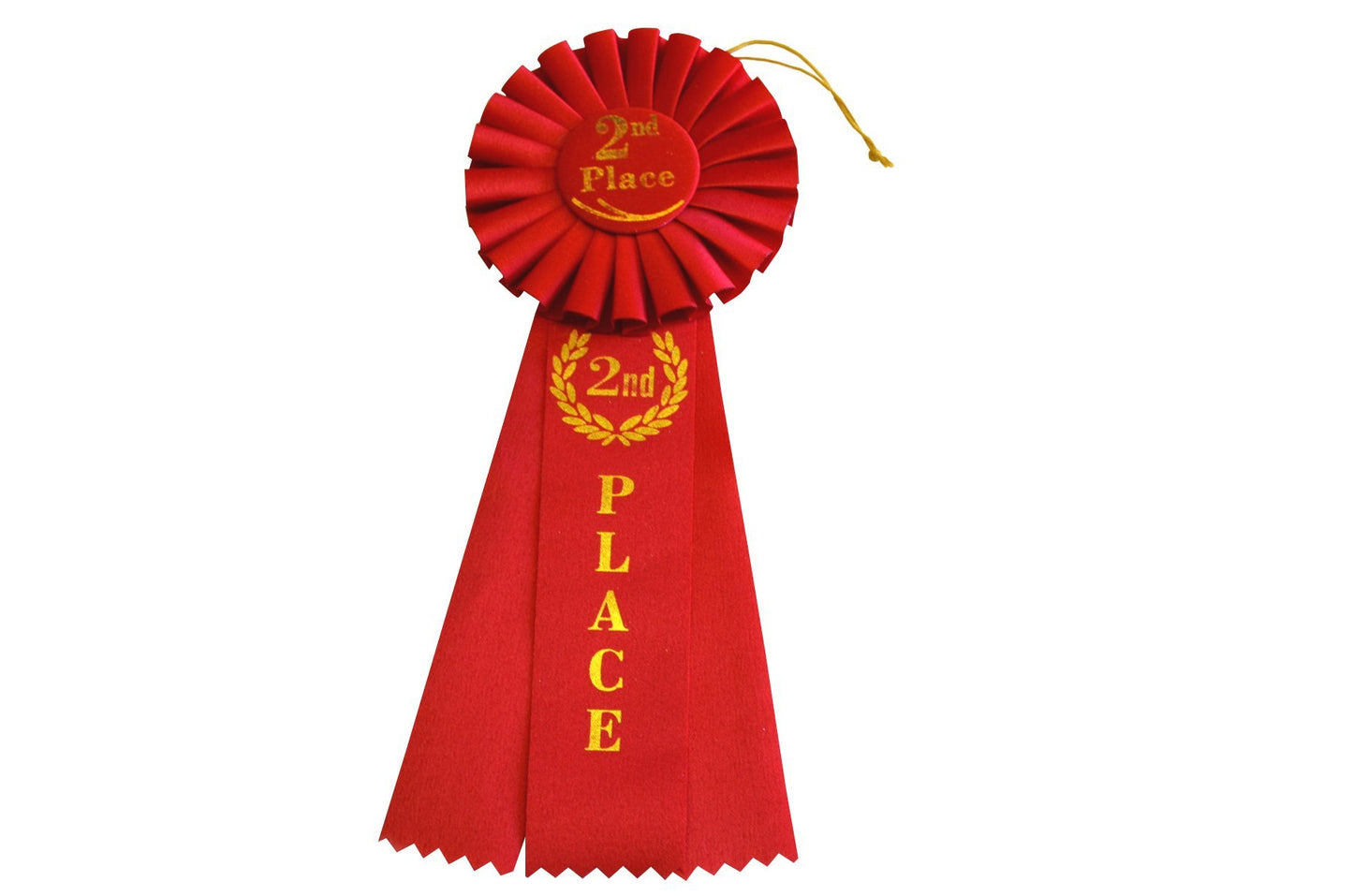 Hayes Specialties Corp. 2nd Place Rosette Ribbon