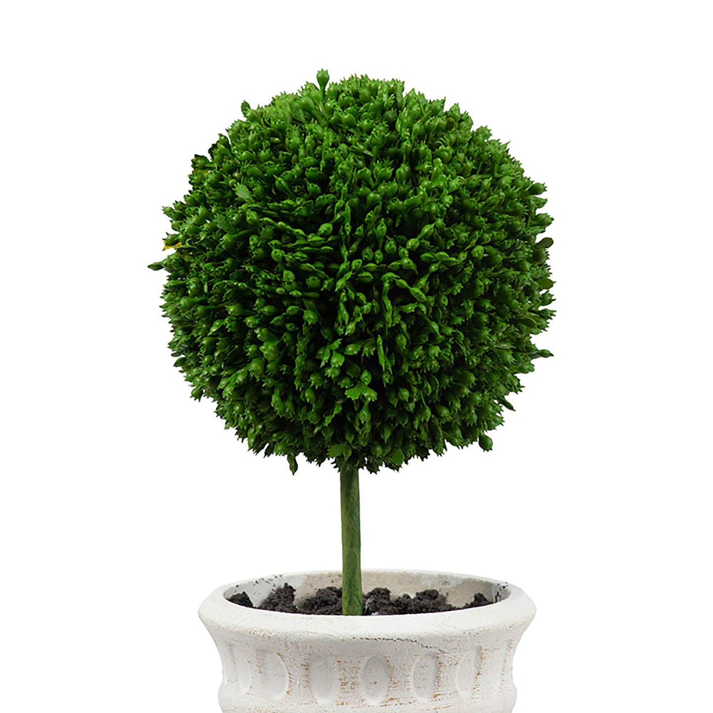 A&B Home Artificial Plants