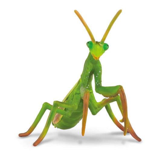 CollectA Insects Praying Mantis Toy Figure - Authentic Hand Painted Model