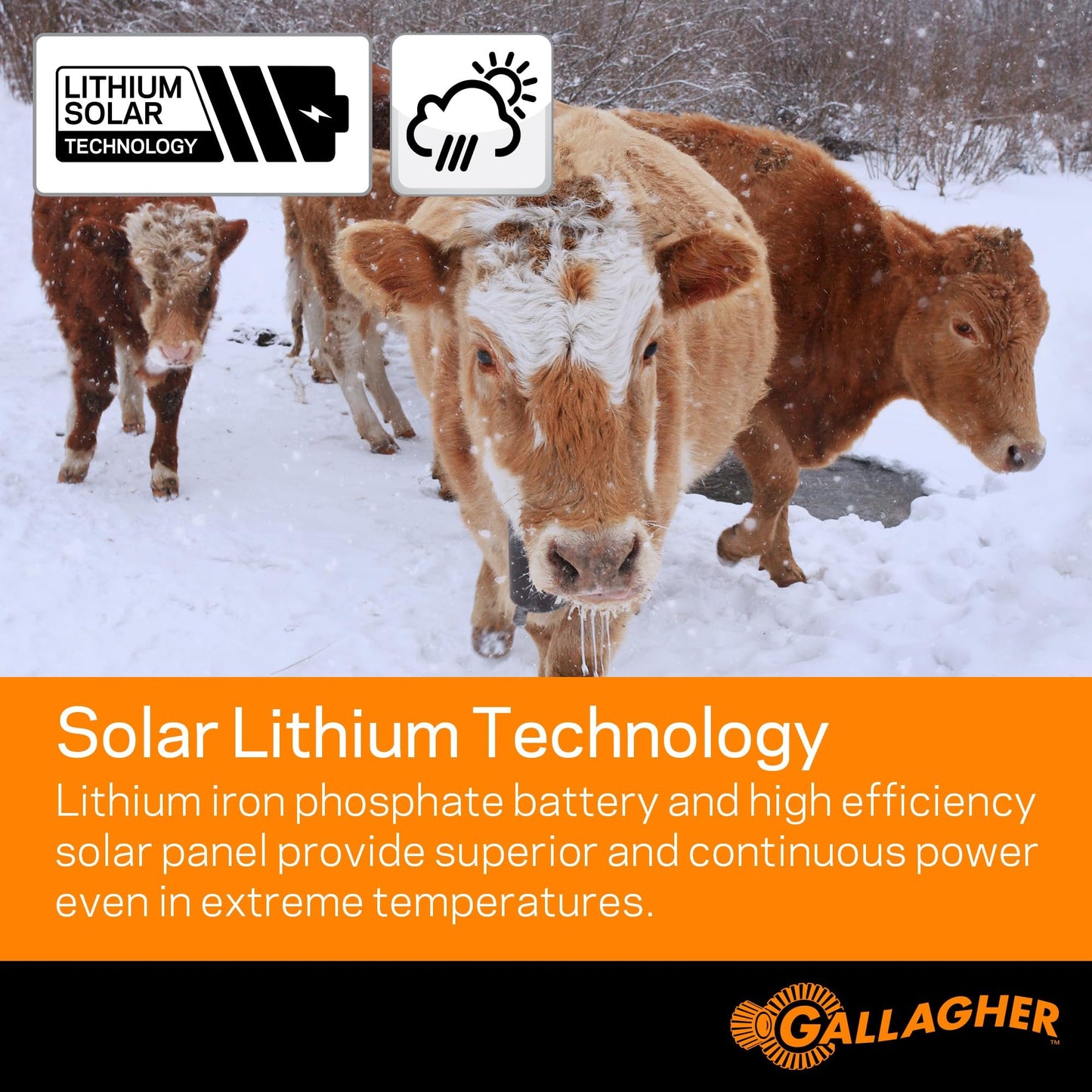 Gallagher S20 Solar Electric Fence Charger | Powers Up to 2 Miles of Typical Fence | Lithium Battery Technology | 0.2 Joule Solar Energizer for Poultry, Livestock, Gardens, and Pets