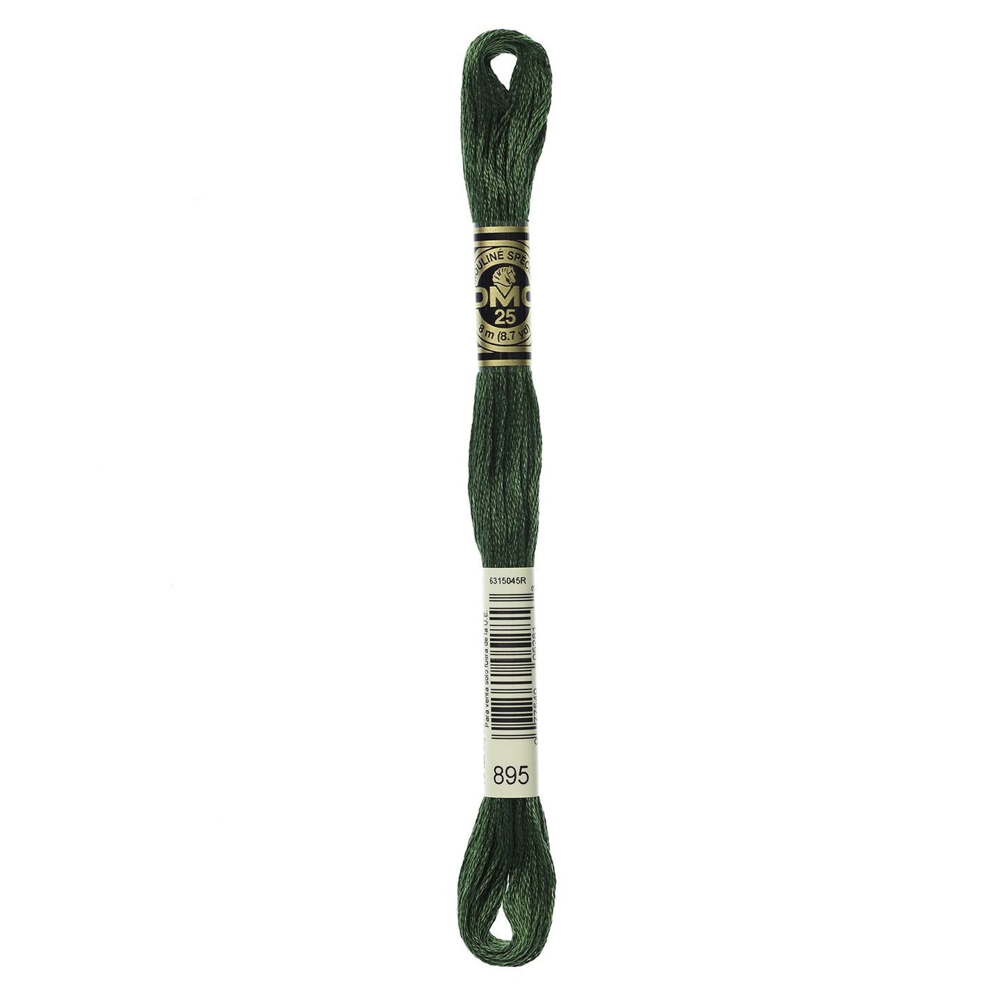 Dmc 6-Strand Embroidery Cotton 8.7yd-Very Dark Hunter Green