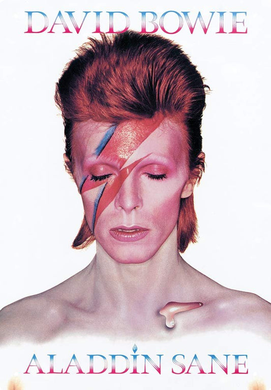 Aquarius David Bowie Aladdin Sane 8 x 11.5 Tin Sign