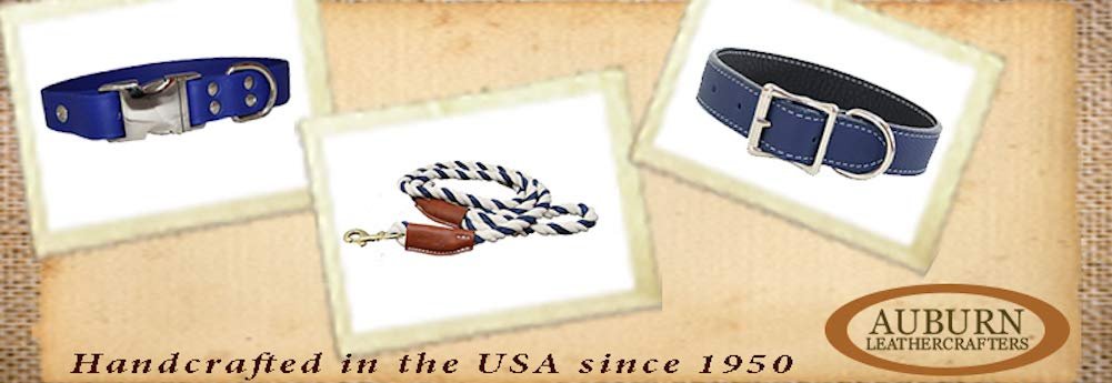 Rolled Leather Collar, Classic Rounded Edges with a Nickel-Plated Buckle, A Festive Choice for Small, Medium and Large Dogs, Made in The USA