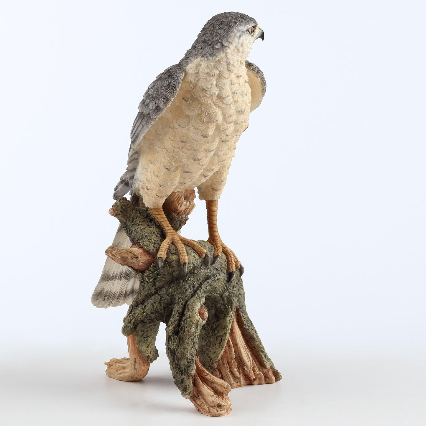 Veronese Design 11 1/8 Inch Sparrow Hawk Hand Painted Polyresin Figurine Animal Sculpture