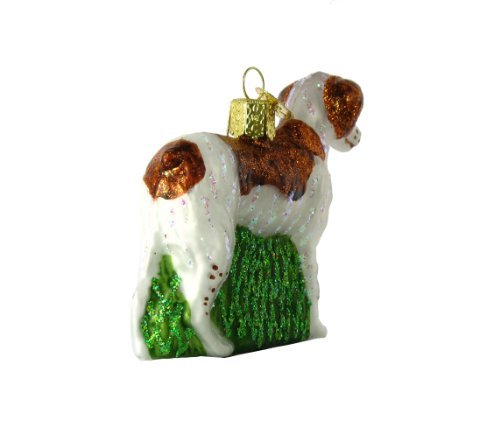 Old World Christmas Bird Watcher Collection Glass Blown Ornaments for Christmas Tree