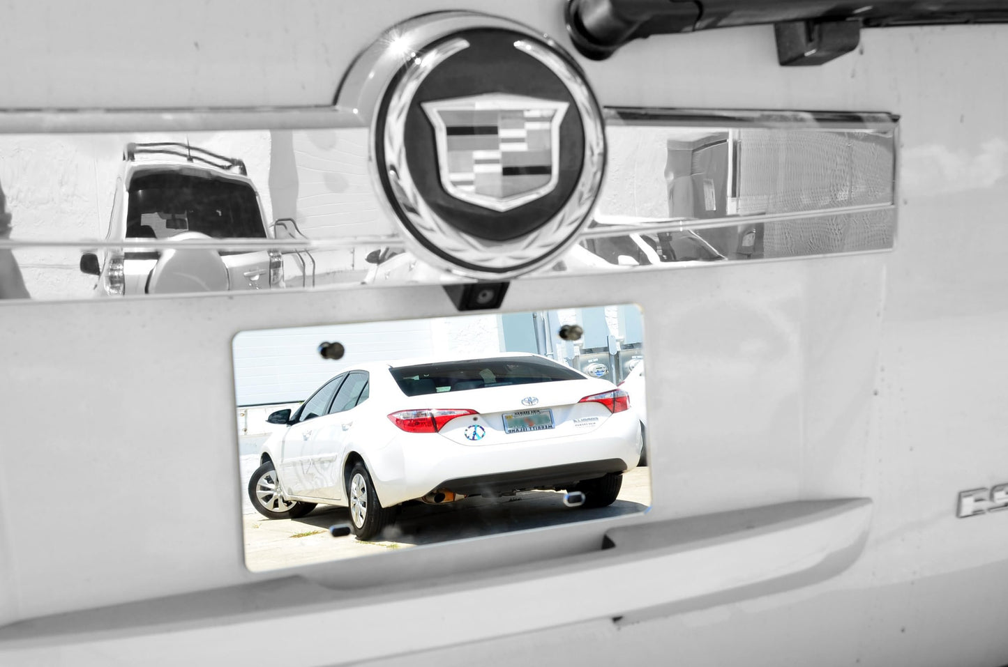 Mirrored Blank License Plates by Marketing Holders