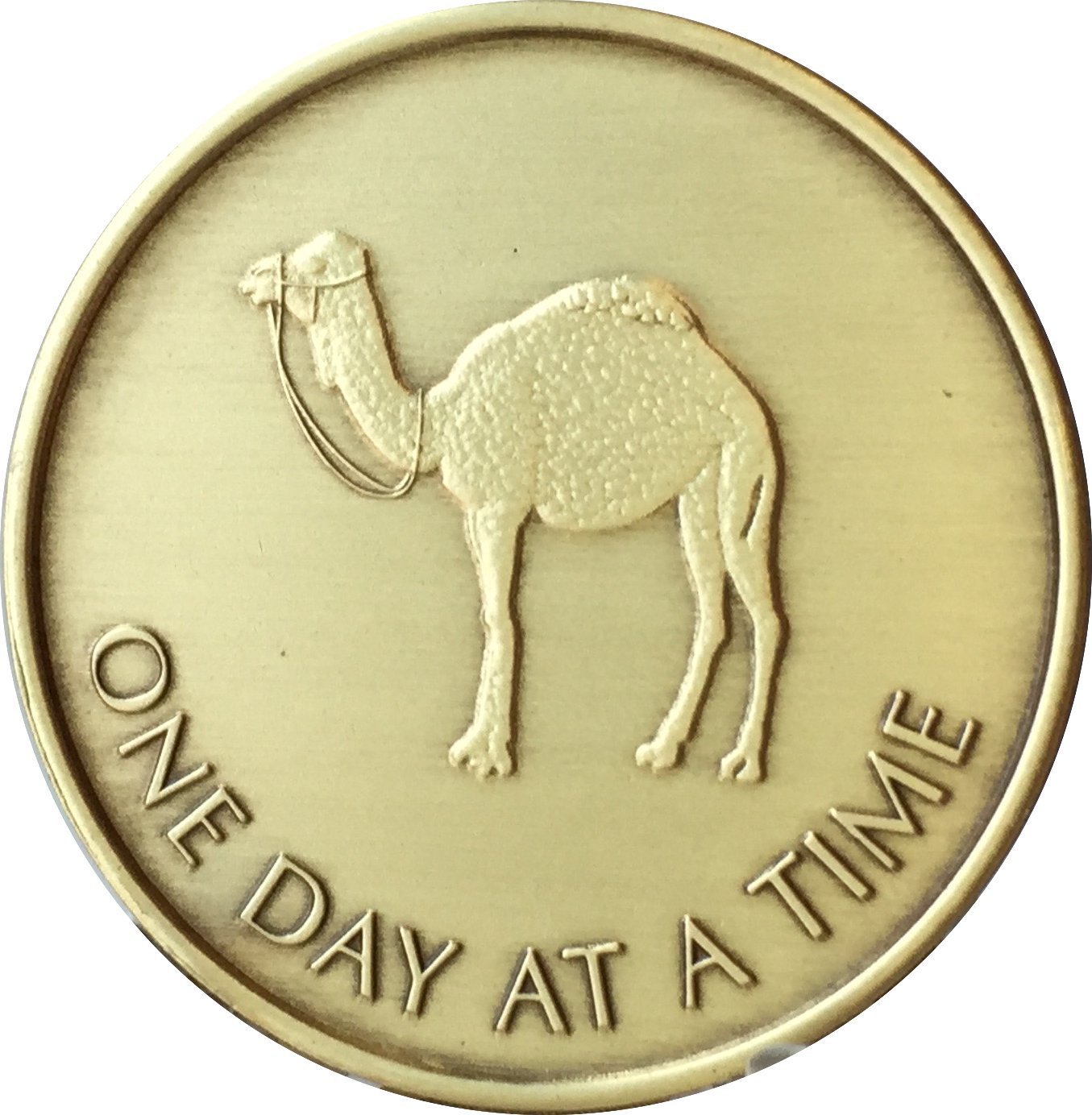 Camel One Day at A Time (24 Hr) - Bronze AA (Alcoholics Anonymous) -ACA-AL-ANON - Sober / Sobriety / Affirmation / Desire / Medallion / Coin / Chip by Generic