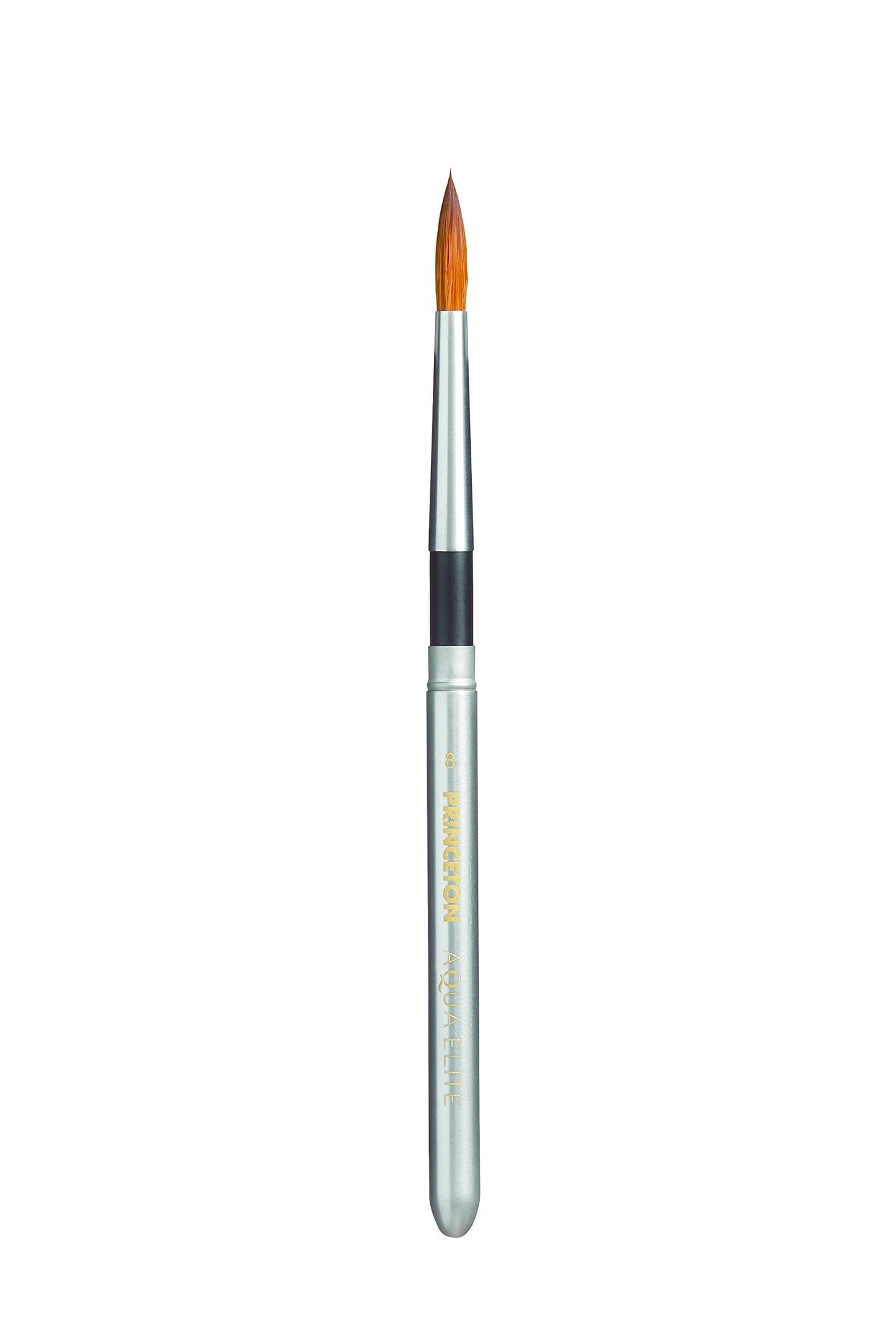 Princeton Paintbrush