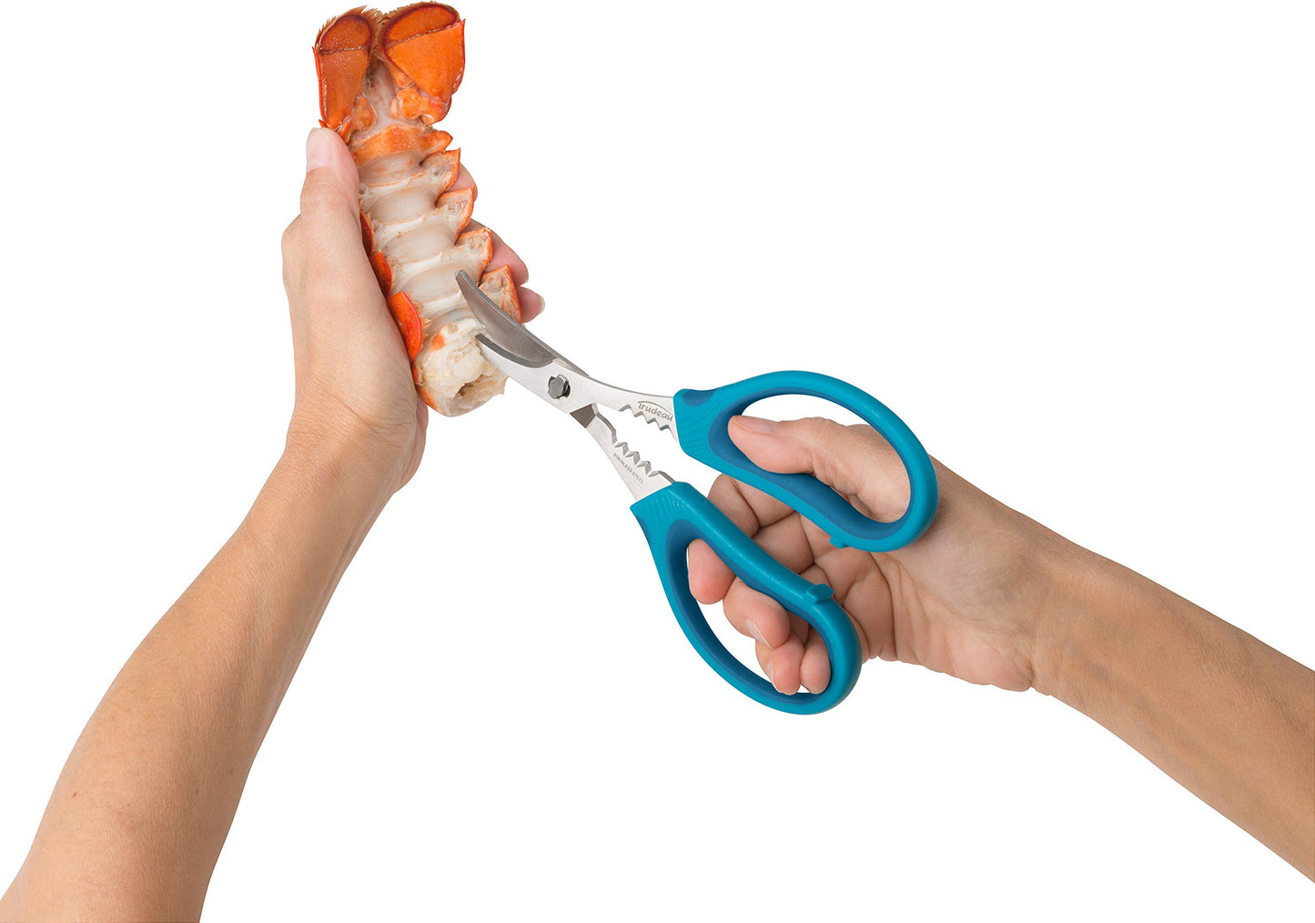 Trudeau Maison 05115084 Seafood Shears-Blue