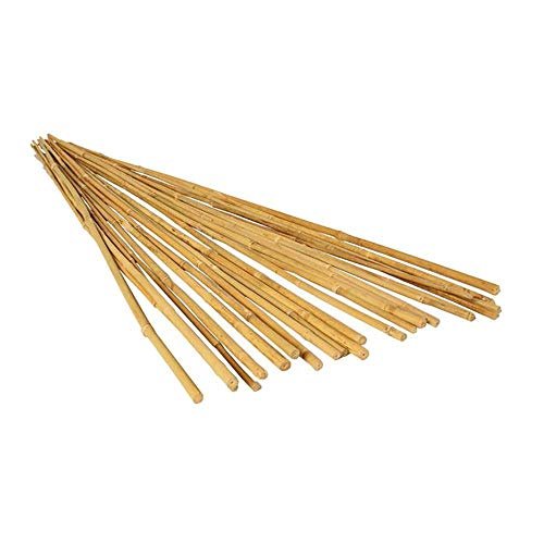 Hydrofarm Natural Bamboo Stake
