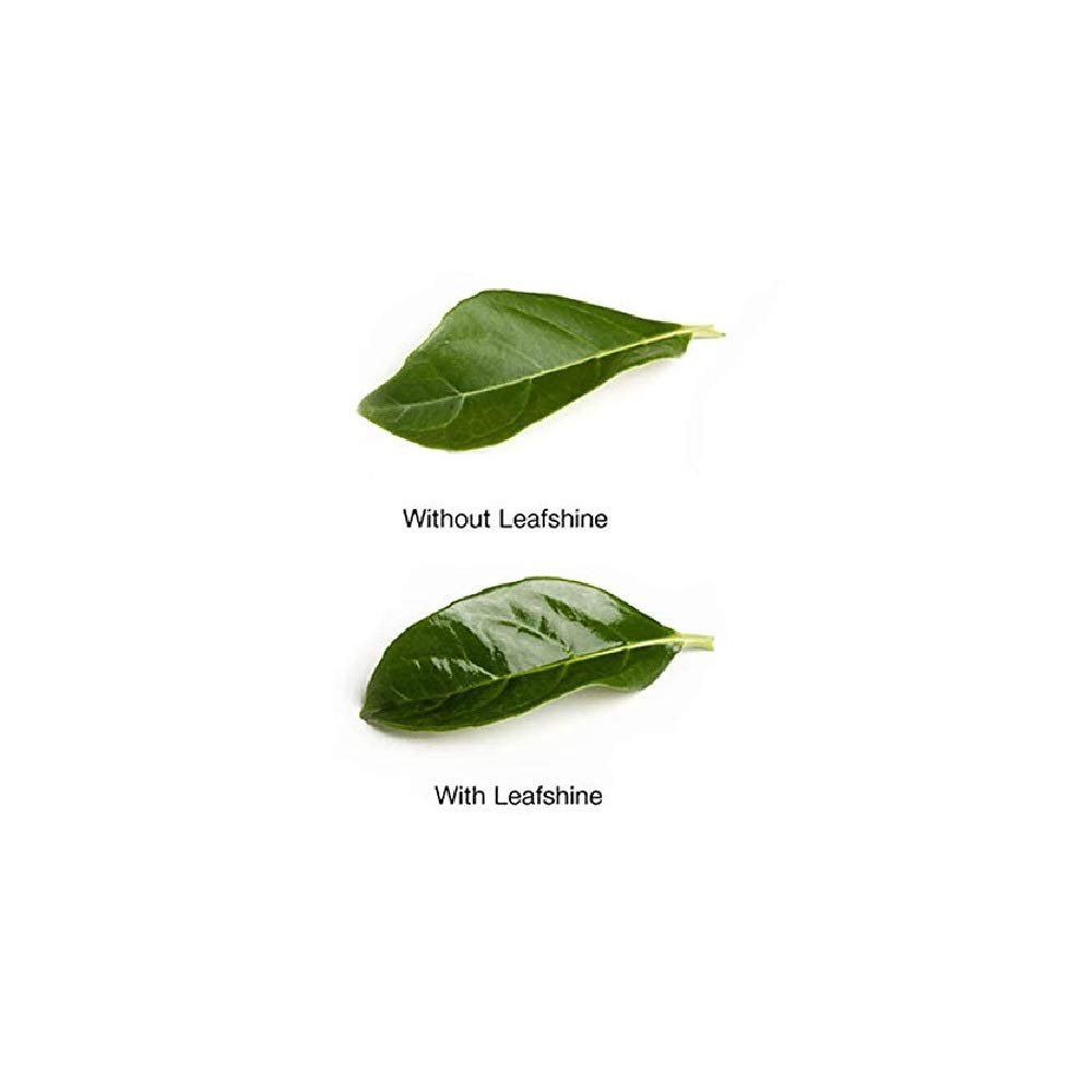 Floralife Leafshine 750ml Scent Free Clear Spray for Plants and Flowers
