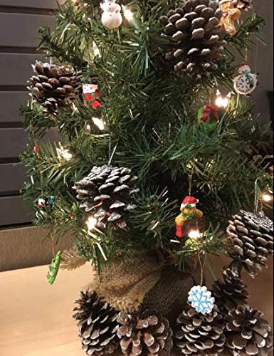 Kurt Adler Petite Treasures 12-Piece Miniature Ornaments Set, 2 Pack