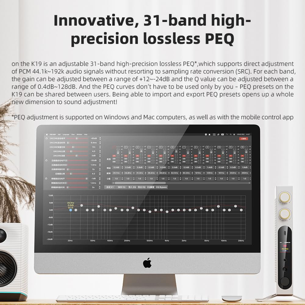 FiiO K19 Dual ES9039SPRO Desktop DAC HiFi Audio DSD512, 31-Band PEQ, XMOS XU-316 for HDMI/Coaxial/Optical Audio Decoder