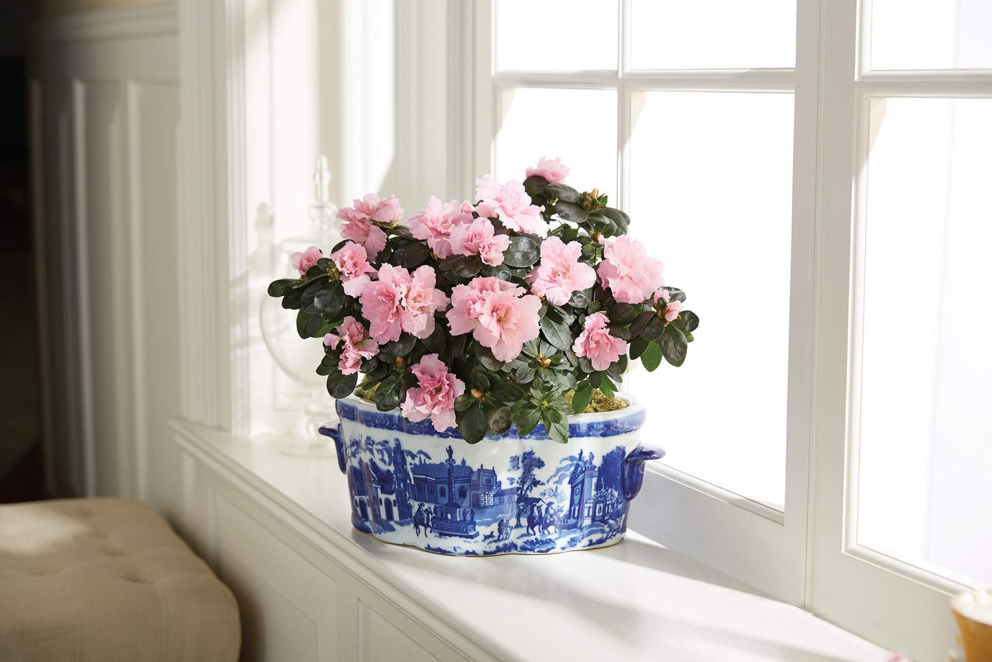Winward Blue & White Porcelain Oval Scenic Planter