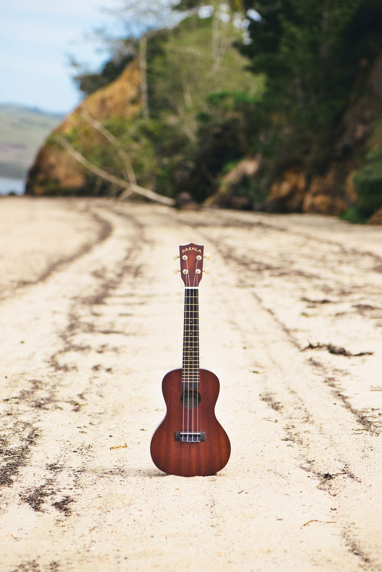 Kala KA-MK-C Makala Concert Ukulele