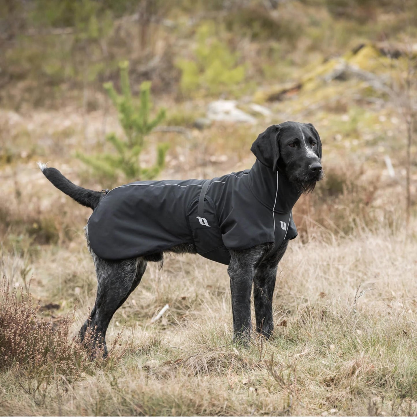 Back on Track Bark Therapeutic High Tail Set Dog Coat with Reflective Details for Safety - Ultimate Comfort & Protection for Active Dogs