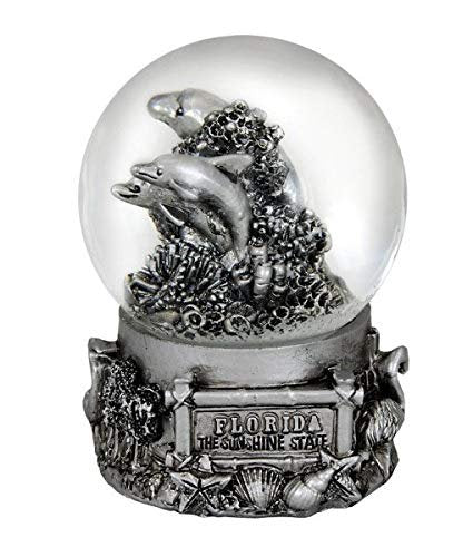 Americaware PSGFLA65 Florida 65 mm Snow Globe