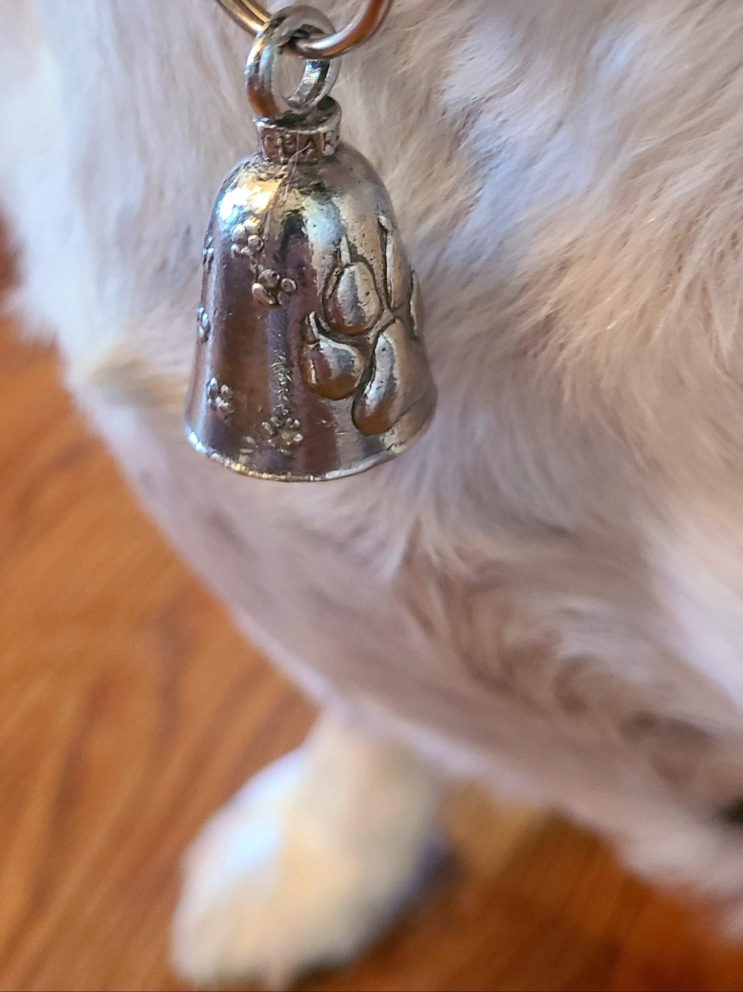 Guardian Bell Billet Good Luck Gift Set