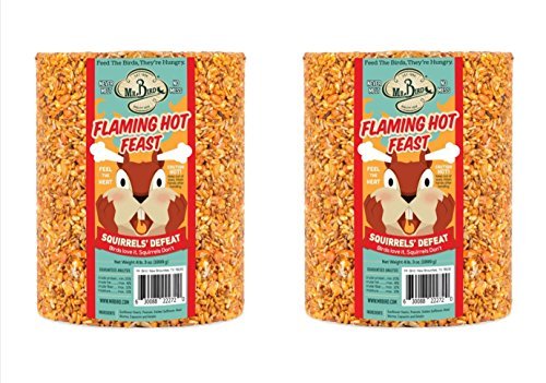 Mr. Bird Flaming Hot Feast Large Wild Bird Seed Cylinder 4 lb. 3 oz.