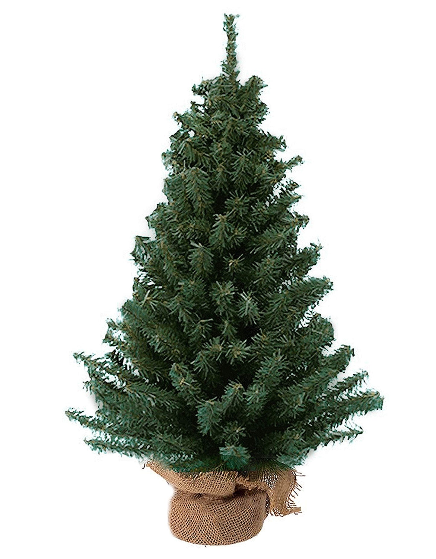 Kurt Adler 24" Miniature Pine Christmas Tree