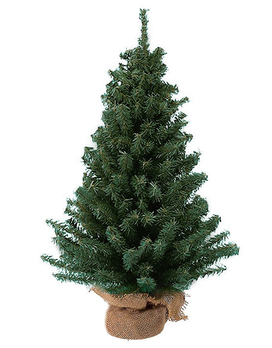 Kurt Adler 24" Miniature Pine Christmas Tree