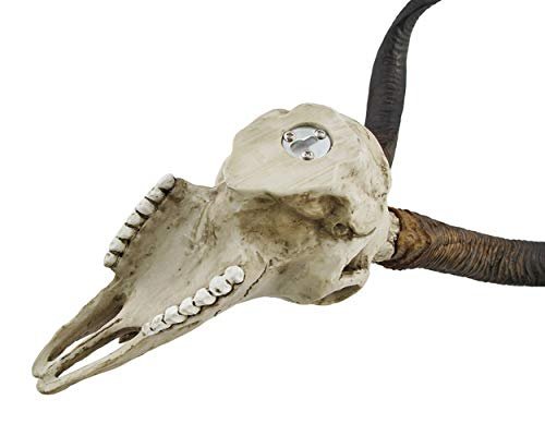 Veronese Design African Kudu Antelope Skull Wall Hanging Cool Twisted Horns