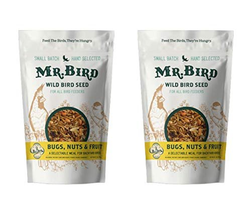 Mr. Bird Bugs, Nuts, & Fruit Large Loose Seed Bag 4 lbs.