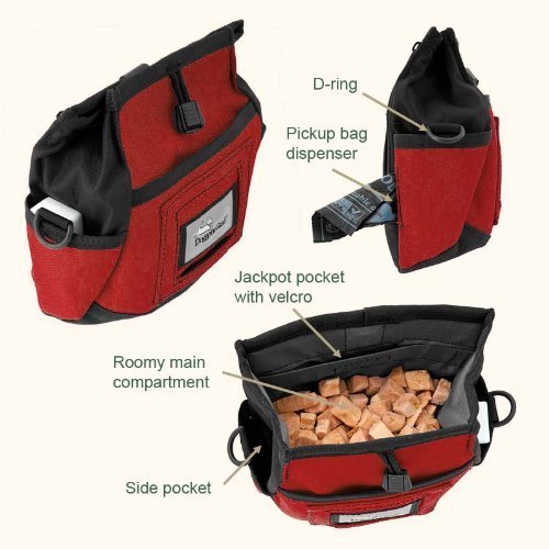 Doggone Good Rapid Rewards Deluxe Dog Training Bag with Belt