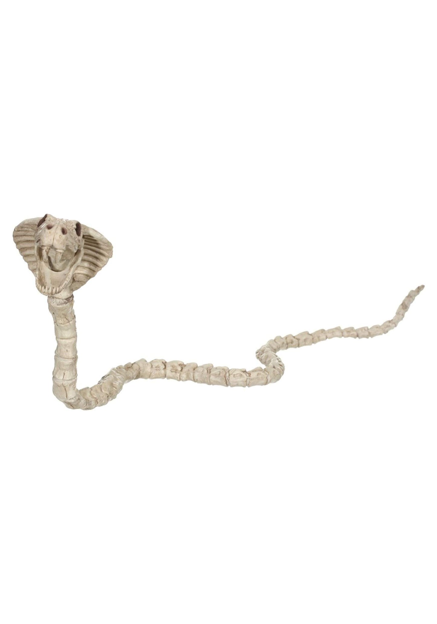 Crazy Bonez Skeleton Cobra